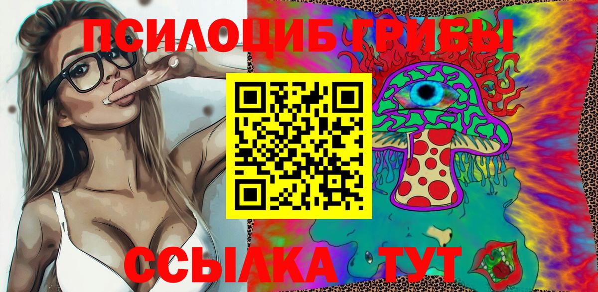 Галлюциногенные грибы Psilocybe Карталы