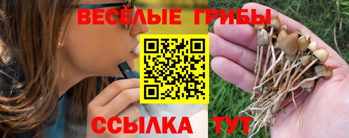 Галлюциногенные грибы мухоморы  Вход с VPN  Псилоцибиновые грибы Cubensis  Карталы 